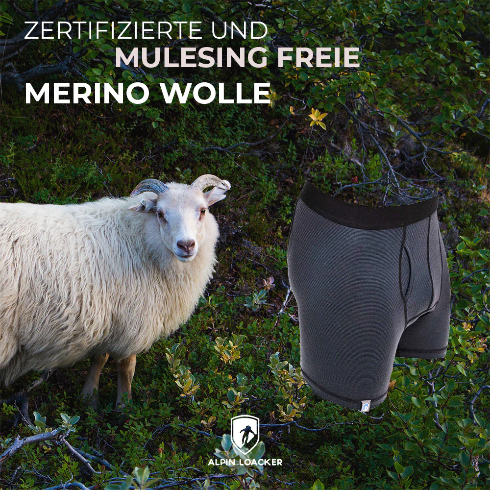 Merino Boxershorts Herren 150 g/m2 - Image 3